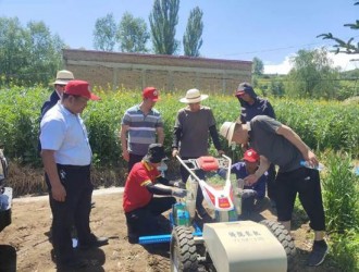 康樂開展電動牽引平臺水果玉米鋪膜、點播試驗